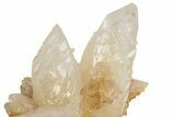 Stunning Scalenohedral Calcite Crystal Cluster - Wenshan Mine #223575-4